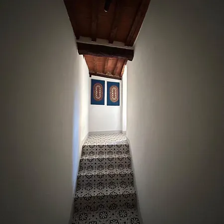 La Casa Del Polpo Rosa カンピーリア・マリッティマ