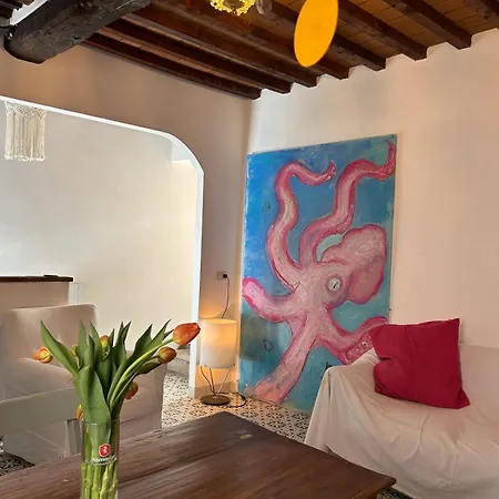 La Casa Del Polpo Rosa *